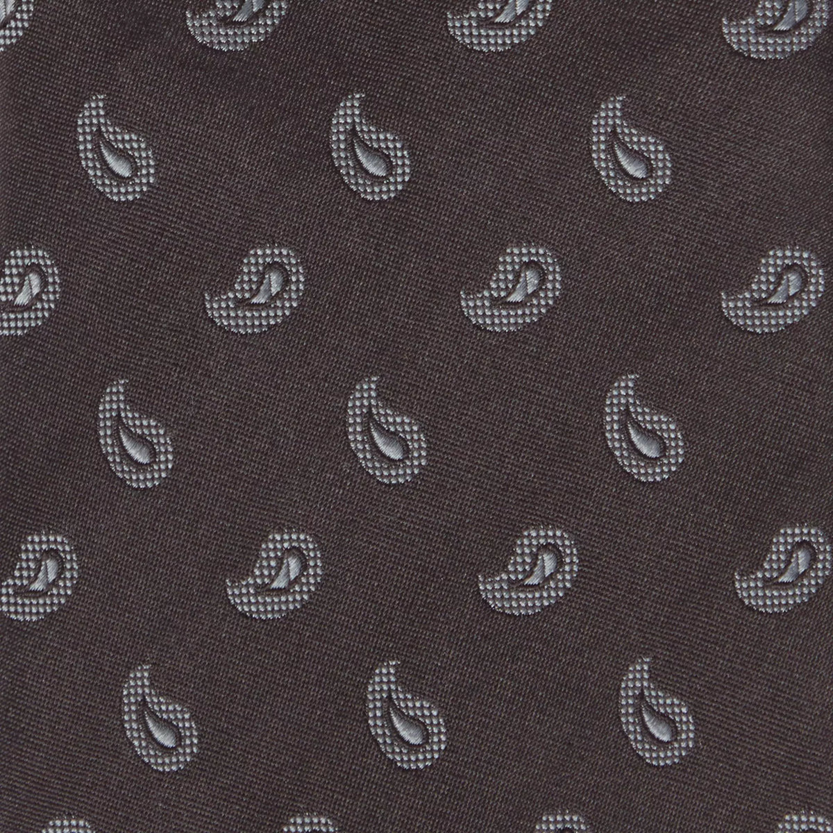 Black & Grey Paisley Motif Silk Woven Tie